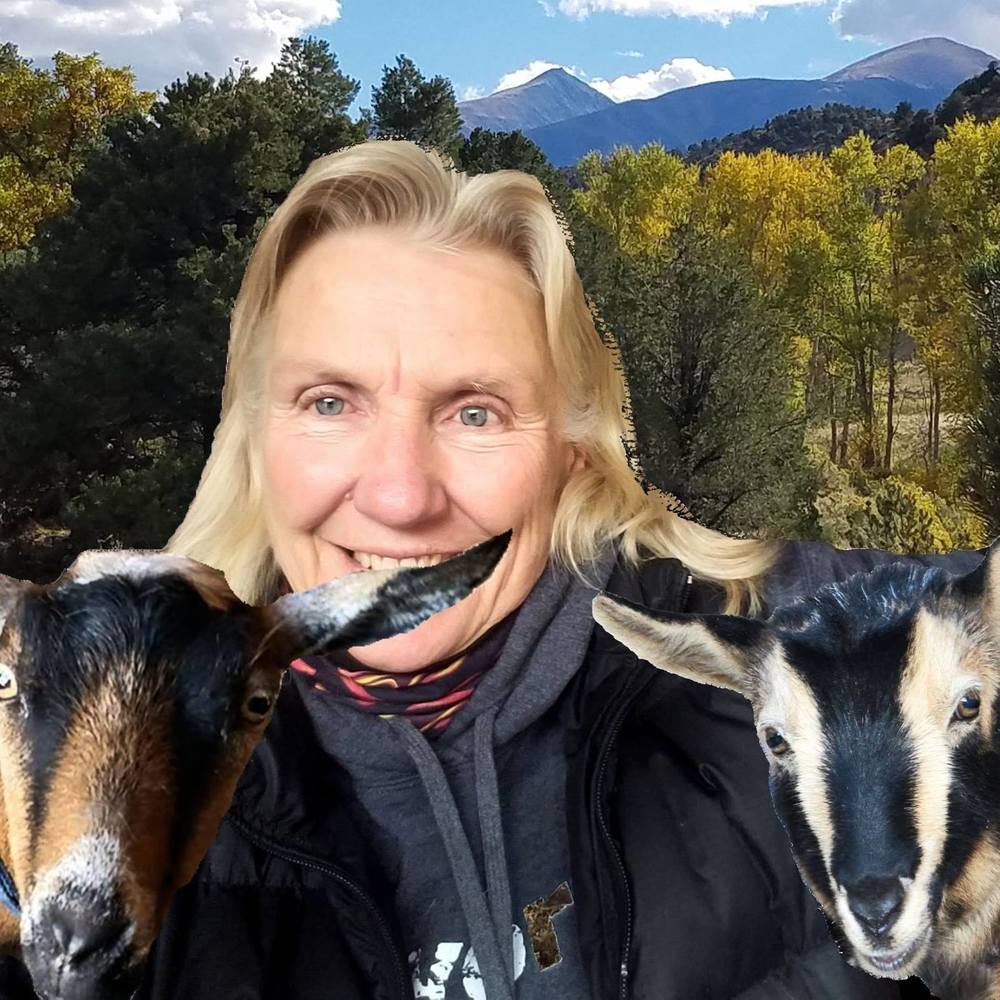 Meet your Posher, Paula